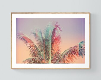 Palm Tree Print, Tropical Art, Florida Photograph, Pale Palm, Fine Art Photograph, California Print, Oversize Art Print, Tree Photograph