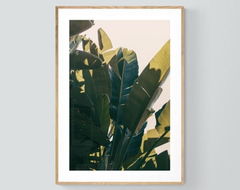 Palm Tree Print, Banana Leaf Art Print, Modern Tropical Art, Florida Art Print, Familiar, Palm Photo, California Print, Oversize Art Print