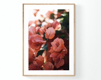 Floral Print, Bougainvillea Print, Tropical Art, Florida Art, Bright Morning #6, Fine Art Print, Flower Photograph, Oversized Wall Art