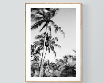 Black and White Palm Tree Print, Better Together, Palm Tree Art, Black and White Photo, Tropical Art, Botanical Art, Oversized Tropical Art