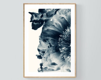 Cyanotype Print, Peony Print, Floral Print, Botanical Photograph, Blue Paeonia #7, Fine Art Photograph, Wall Art, Oversized Art, Blue Print