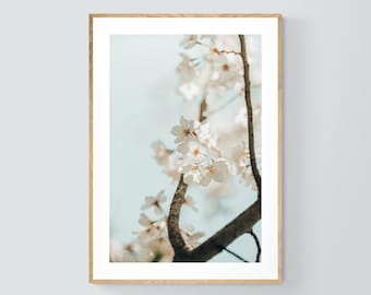 Floral Wall Art, Nature Photograph, Cherry Blossom Print, Branching Out, Oversized Art, Flower Photograph, Floral Print, Botanical Wall Art