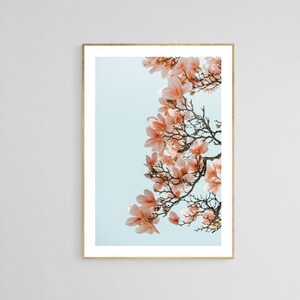 Magnolia Photograph, Nature Photograph, Pink Spring 4, Magnolia Tree Art, Flower Art Print, Botanical Print, Floral Photo,Oversized Wall Art