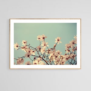 Magnolia Tree Photograph, Spring Skies, Botanical Art, Flower Print, Oversized Print, Tree Print, Wall Decor, Pink Art, Floral Art Print image 1