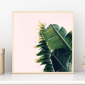 Boho Art, Palm Tree Print, Banana Split, Green Leaf Print, Banana Leaf Print, Botanical Art, Oversize Art, Tropical Print, Palm Tree Art image 1