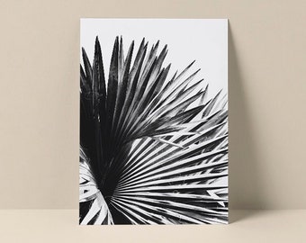 Palm Tree Note Card, Tropical Card, Black and White Art, Florida Art Print, Palm Tree Art, Florida Note Card, Botanical Note Card,Blank Card