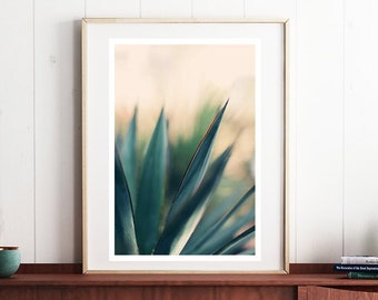 Impression d’agave, Photographie de nature, Photographie de succulente, Photo de fleur, Colonne vertébrale #2, Photographie d’art, Impression de cactus, Art vert, Impression florale