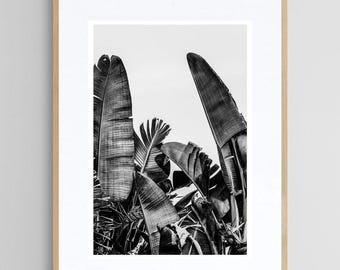 Palm Tree Print, Black and White Photograph, Tropical Artwork, Nature Study, Silver Skies, Tropical Decor, California, Florida, Oversize Art