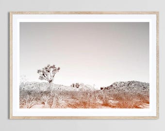 Joshua Tree Photograph, Desert Print, Southwestern Landscape Photography, Boho Art Print, Cactus Print, Desert Wall Art, Joshua Tree Print