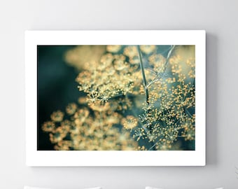 Kitchen Art, Botanical Print, Floral Photography, Food Photograph, Garden Art Print, Dill #3, Food Art, Herb Print, Kitchen Photo Print