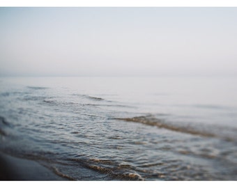 coast alicia print dress