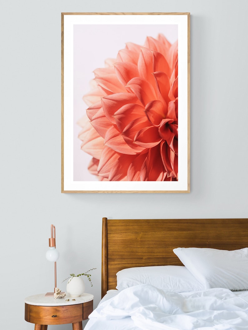 Dahlia Print, Macro Flower Photograph, Pink Lady, Fine Art Photograph,Floral Art, Botanical Print, Oversized Art, Flower Photo, Floral Art image 1
