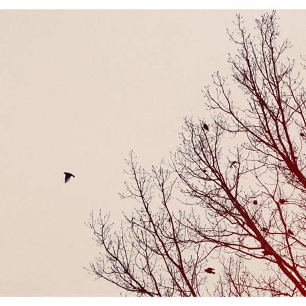 Bird Photography - Nature Photograph - Fine Art Photography - Umber Days - Bird Art - Winter Print - Tree Art Print - Michigan Photographer