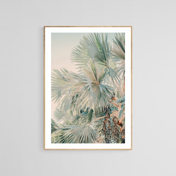 Palm Tree Photograph - Etsy