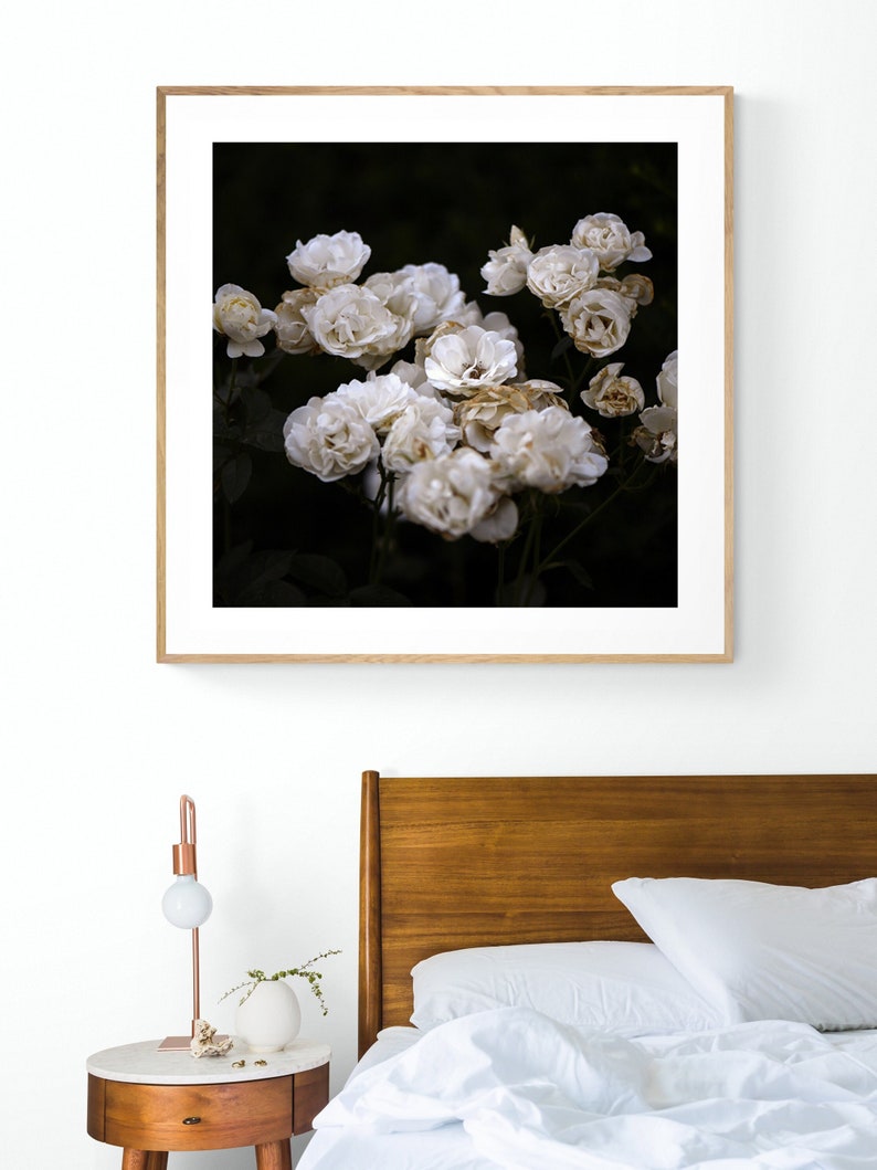 Rose Print, Rose Art, Rose Photograph, Flower Print, Flower Photograph, Botanical Print, Floral Print, Floral Art, Botanical Photograph image 1