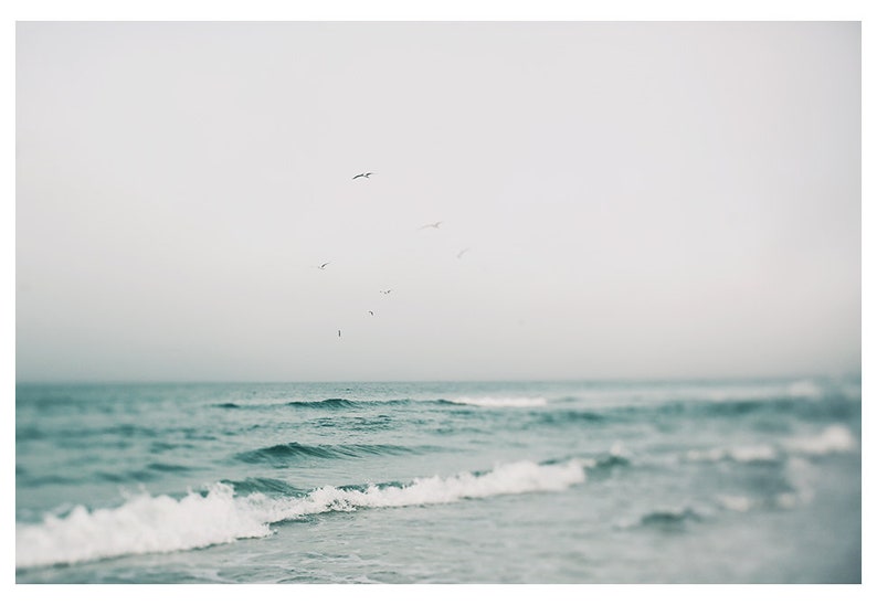 Beach Art, Ocean Photography, Ghost Birds, Siesta Key Print, Florida Photo, Beach Wall Art, Gulf Coast Art, Coastal Art Print, Beach Print image 2