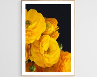 Ranunculus Art Print, Flower Art Print, Botanical Wall Art, Yellow Ranunculus #1, Floral Art, Flower Photograph, Ranunculus Photo Print