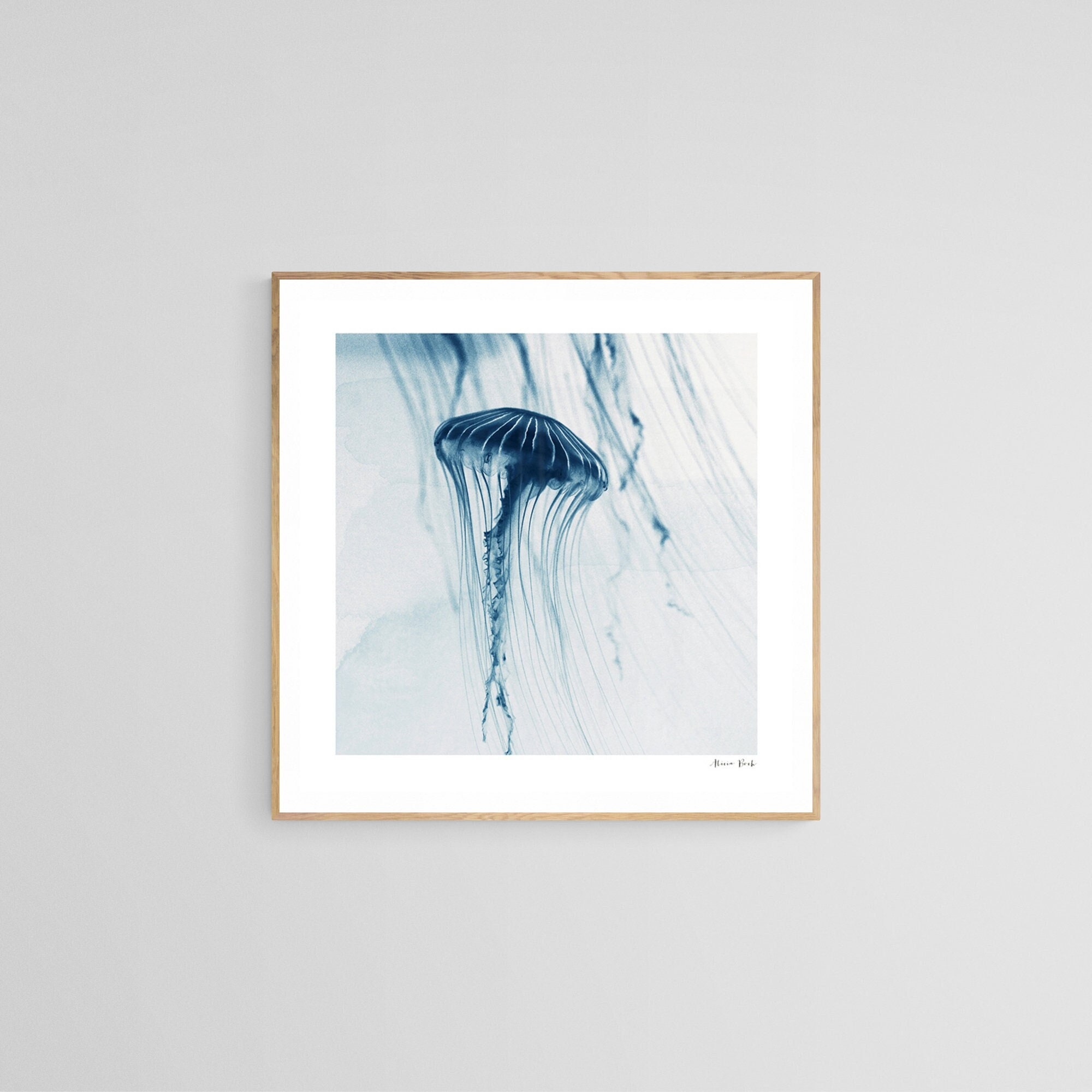 クラゲの壁アート、自然写真、動物アート、海洋アート、クラゲのアート