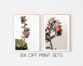 Succulent Print Set - Save 15% - Sale Print - Succulent Photograph - Flower Photo - Botanical Print - Cactus - Botanical Print - Floral Art