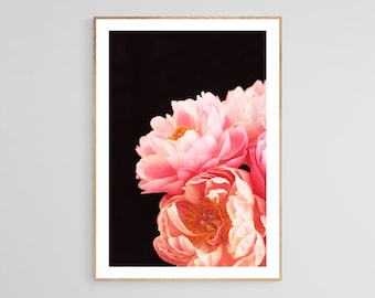 Peony Photograph, Flower Art, Peony Wall Art, Botanical Art Print, Haute Couture #2, Peony Flower Print, Floral Art Print, Flower Photo