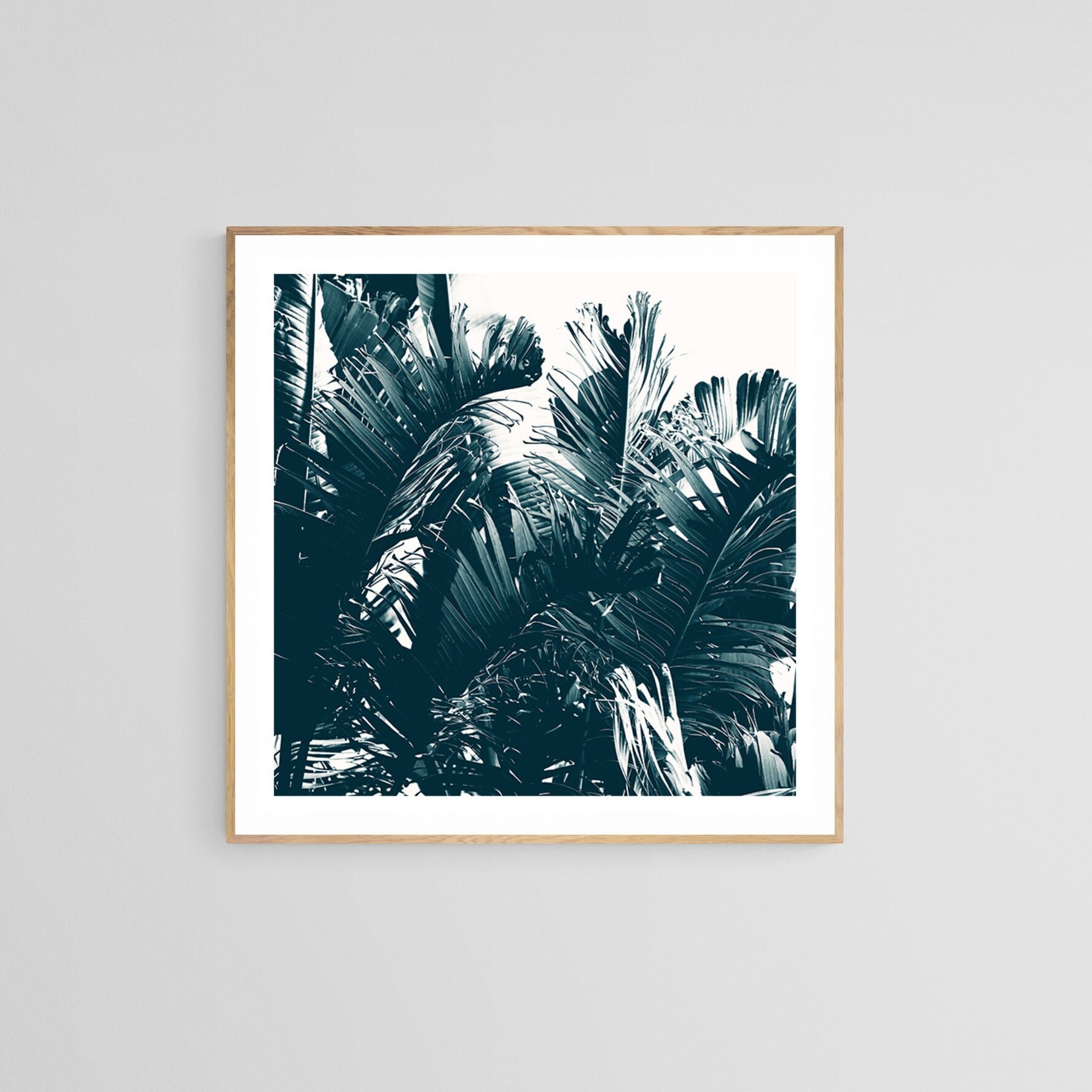 Cyanotype Kit, Solar Printing With Plants, Ferns, Flowers, Watercolor Paper  9x12, 7x10, 6x9, 5x7 Multiple Sizes DIY, Home, Kids 