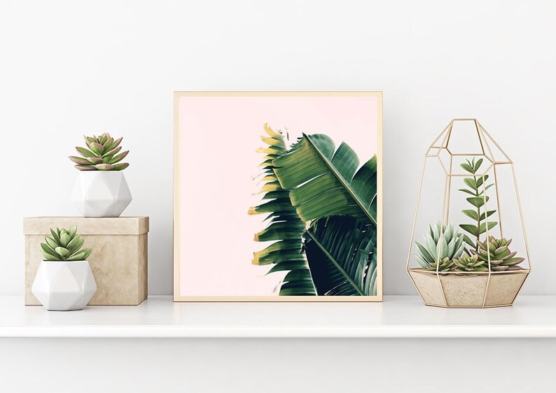 Boho Art, Palm Tree Print, Banana Split, Green Leaf Print, Banana Leaf Print, Botanical Art, Oversize Art, Tropical Print, Palm Tree Art image 1