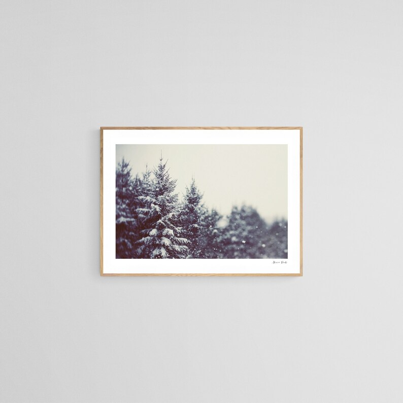 Woodland Art, Winter Photograph, Snow Photography, Winter Daydream 2, Pine Tree, Snow Art, Winter Print, Michigan Art, Winter Art image 1