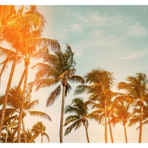 Impression de palmier, Art tropical, Photographie de Floride, Miami Breeze, Art mural de palmier, Impression californienne, Impression dart surdimensionnée, Photo darbre image 2