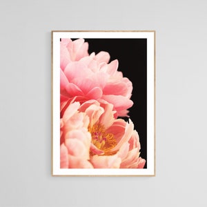 Peony Photograph, Flower Art, Peony Wall Art, Botanical Art Print, Haute Couture #2, Peony Flower Print, Floral Art Print, Flower Photo