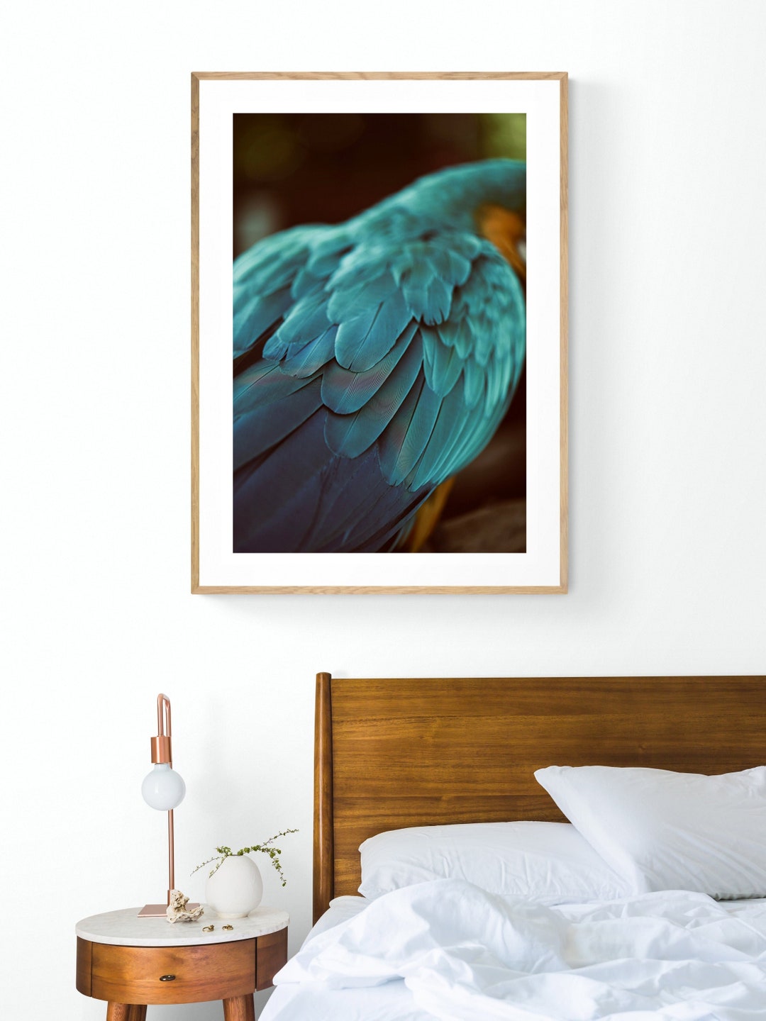 Feather Art Print, Parrot Print, Blue Feathers #4, Bird Art, Bird Print ...