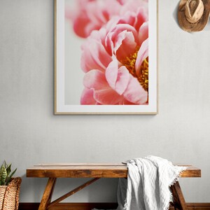 Peony Photograph, Flower Photograph, Myra, Peony Art Print, Pink Print, Floral Art Print, Botanical Art Print, Peony Print, Floral Art Print image 3