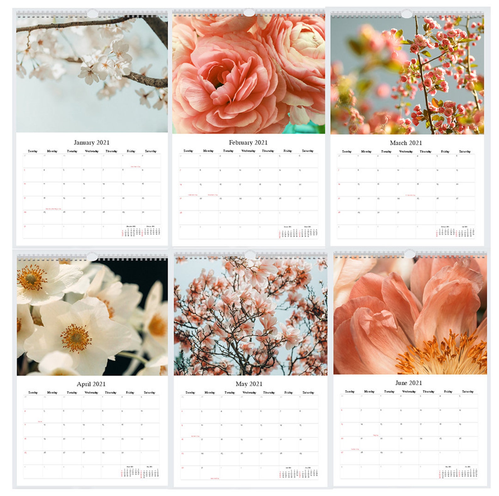 2021 Flower Wall Calendar Fine Art Calendar Floral Art Wall | Etsy