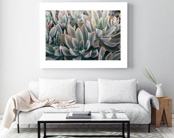 Botanical Print, Succulent Photograph, Flower Print, Cactus Print, Graptoveria Study #2, Modern Botanical Print, Floral Art, Oversized Print