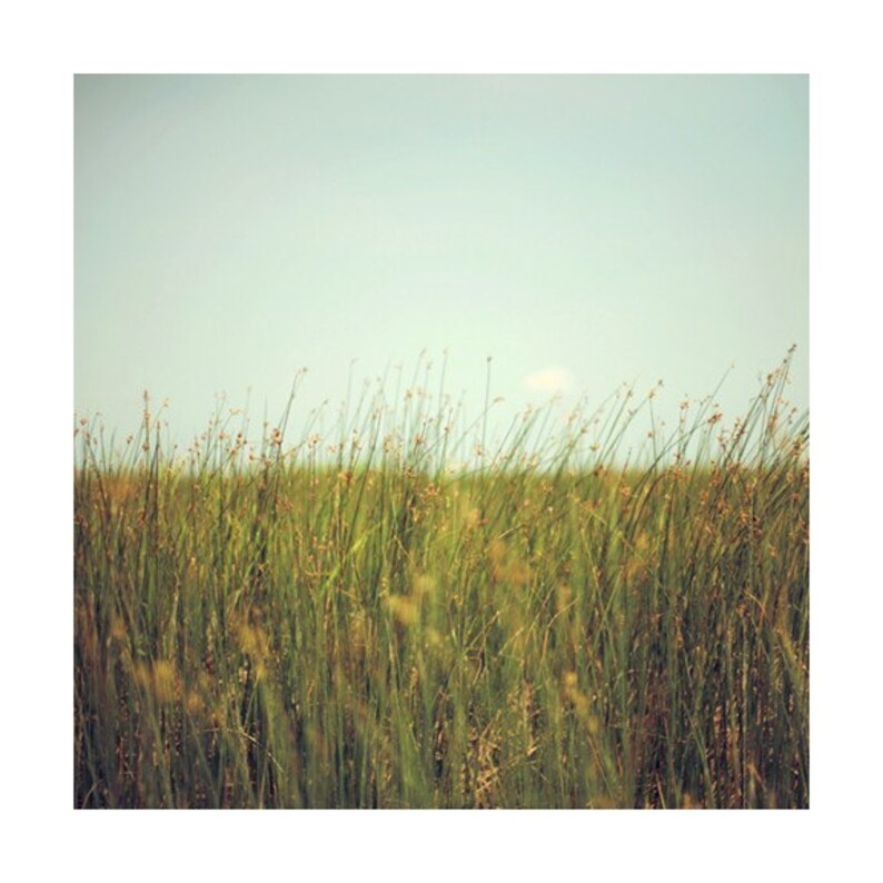 Greener Grass Signed Fine Art Photograph image 1