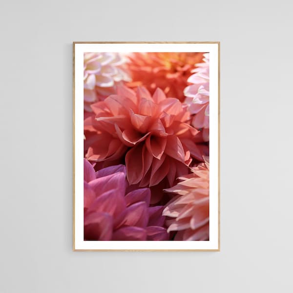 Dahlia Print, Dahlia Flower Photograph, Bridesmaids, Floral Wall Art, Botanical Art Print, Oversized Wall Art, Flower Photo, Pink Floral Art