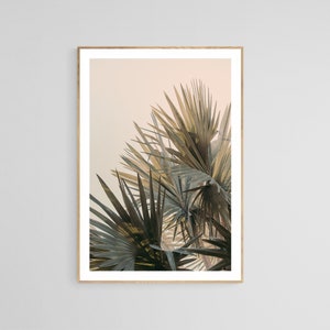 Palm Tree Print, Palm Glow, Tropical Art, Travel Photograph, Tropical Print, California, Florida Photograph, Oversized Art, Beach Decor