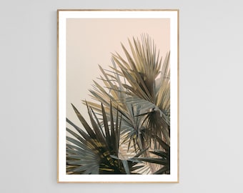 Palm Tree Print, Palm Glow, Tropical Art, Travel Photograph, Tropical Print, California, Florida Photograph, Oversized Art, Beach Decor