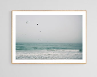 Beach Art, Ocean Photography, Ghost Birds, Siesta Key Print, Florida Photo, Beach Wall Art, Gulf Coast Art, Coastal Art Print, Beach Print