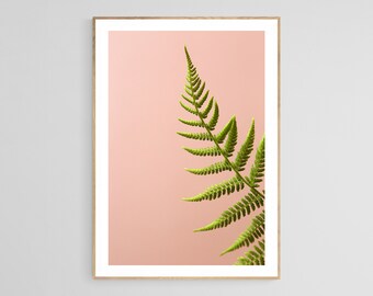 Fern Photograph, Botanical Print, Floral Photography, Nature Photograph, Fern Art Print, Fern Study On Pink #2, Oversized Floral Art Print