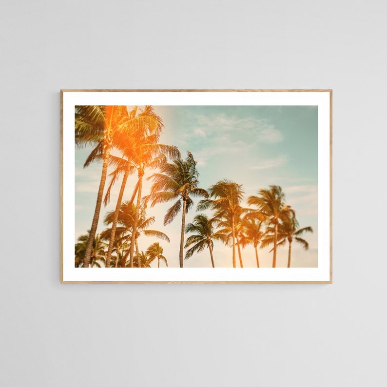 Impression de palmier, Art tropical, Photographie de Floride, Miami Breeze, Art mural de palmier, Impression californienne, Impression dart surdimensionnée, Photo darbre image 1