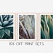 see more listings in the Tropical Flora Prints section
