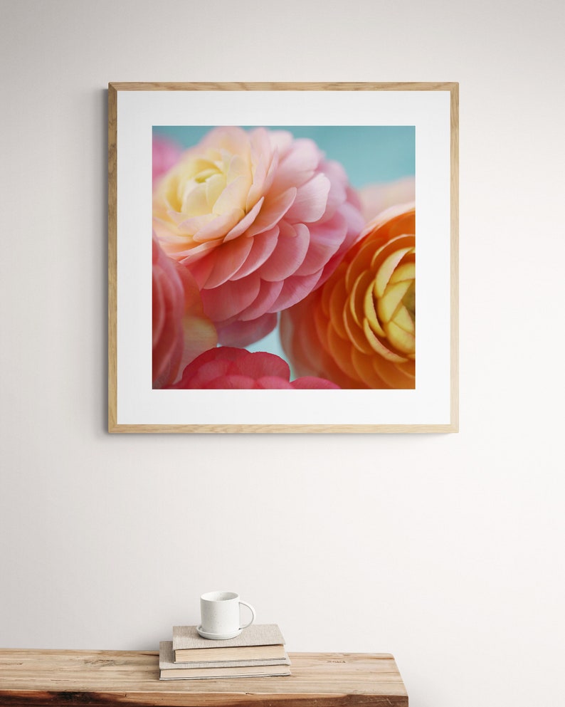 Flower Photograph, Ranunculus Print, Light From Within, Fine Art Photograph, Flower Art, Botanical Print, Pink Art, Oversized Art, Floral image 3