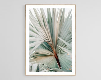 Palm Tree Print, Soft Sage, Tropical Art, Palm Tree Photograph, Tropical Print, California, Florida Photograph, Large Art, Beach Art Print