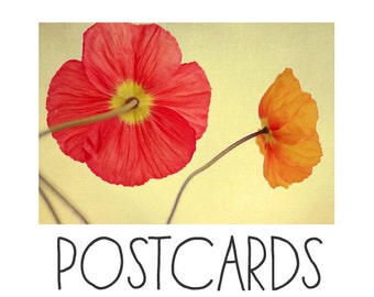 Postcards, Single Card, Blank Cards,  Les Jolies Fleurs,  Flower Photograph, Poppy Print, Spring Art, Stationary,Postcard Set