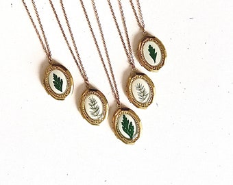 Brass Locket with Real Ferns