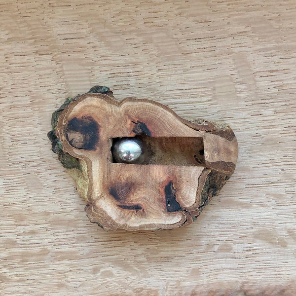 Lansdowne Sycamore ball bearing fidget