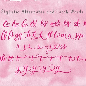 May include: A collection of hot pink calligraphic stylistic alternates and catch words displayed on a textured light pink watercolor background. The text includes various ampersands, letter ligatures, and flourishes with elegant, flowing script.