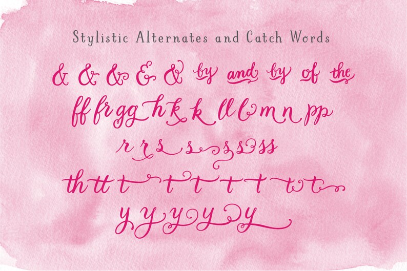 May include: A collection of hot pink calligraphic stylistic alternates and catch words displayed on a textured light pink watercolor background. The text includes various ampersands, letter ligatures, and flourishes with elegant, flowing script.