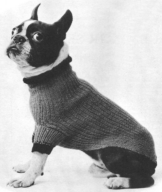 1955 Turtle Neck Dog Sweater Vintage Knitting Pattern Instant Download Pdf 394 1955 Turtle Neck Dog Sweater Vintage Knitting Pattern Instant Download Pdf 394