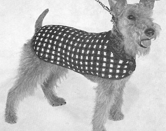 1950 Dog Sweater Instant Download Vintage Knitting Pattern PDF 322